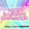 不倫していた主人の気持ちを取り戻すことができた波動音の口コミ